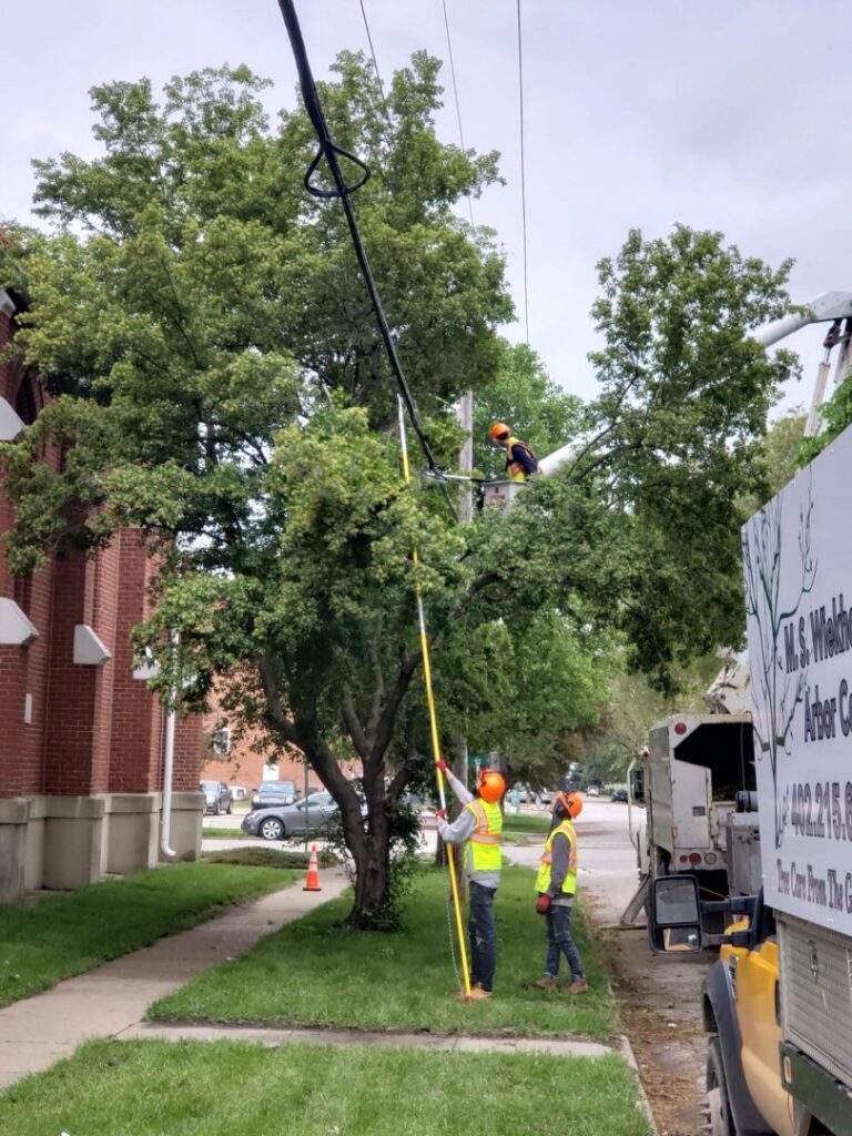 Tree service workers from M S Wiekhorst Arbor Company trimming branches near power lines with a bucket truck in Columbus, NE.