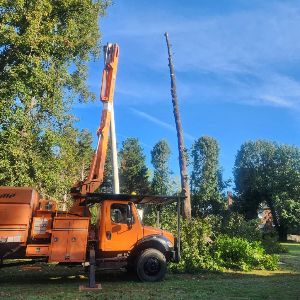 A bucket truck next to a partially removed tree with branches on the ground by Triad Tree Removal LLC in Greensboro, NC.