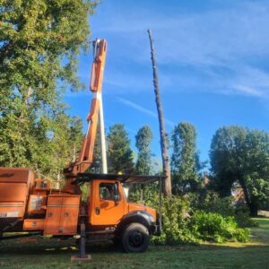 A bucket truck next to a partially removed tree with branches on the ground by Triad Tree Removal LLC in Greensboro, NC.