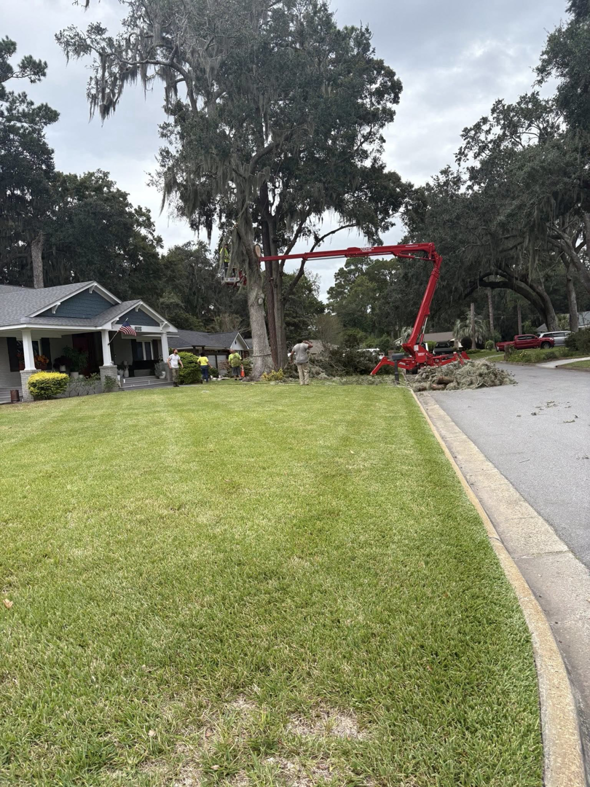 Tree service crew using a red crane for tree trimming and removal by Treeality Tree Technologies LLC in Savannah, GA.