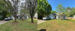 Before and after photos showcasing tree trimming and removal services around a house by K.O. Tree Service in Charlotte, NC.