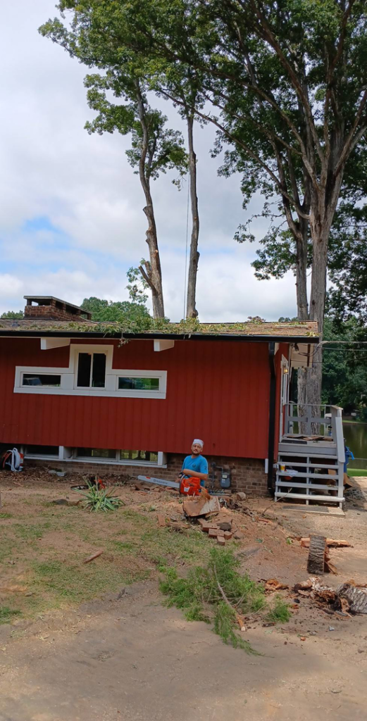 A tree service worker with a chainsaw after trimming and removing branches at Joel's tree service in Greensboro, NC