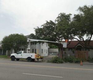 Arbortex Tree Service performing tree trimming from a bucket truck alongside a road in Corpus Christi, TX.