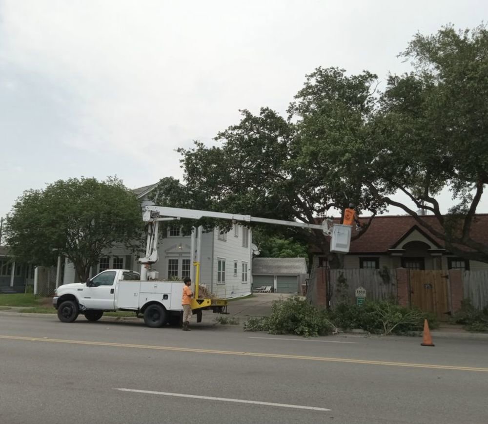 Arbortex Tree Service performing tree trimming from a bucket truck alongside a road in Corpus Christi, TX.