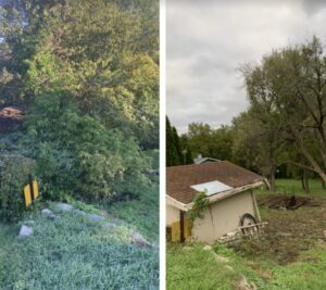 Before and after image showing tree branches trimmed back from a roof by Griffis Tree and Lawn in Council Bluffs, IA.