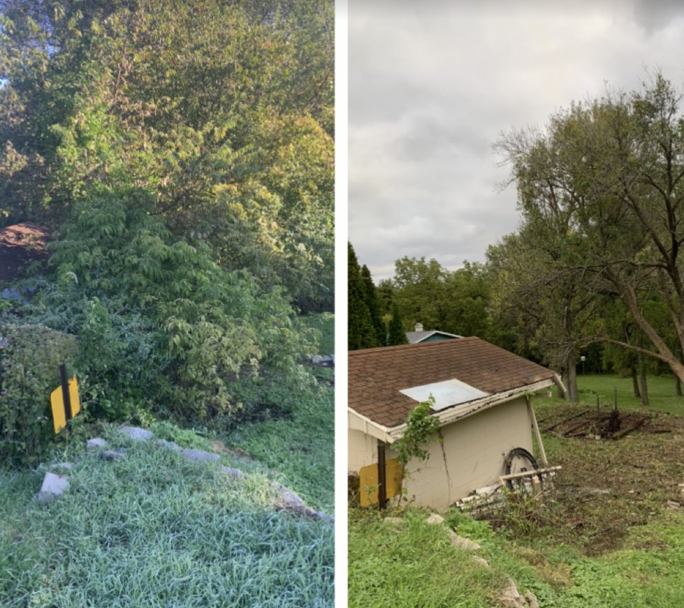 Before and after image showing tree branches trimmed back from a roof by Griffis Tree and Lawn in Council Bluffs, IA.