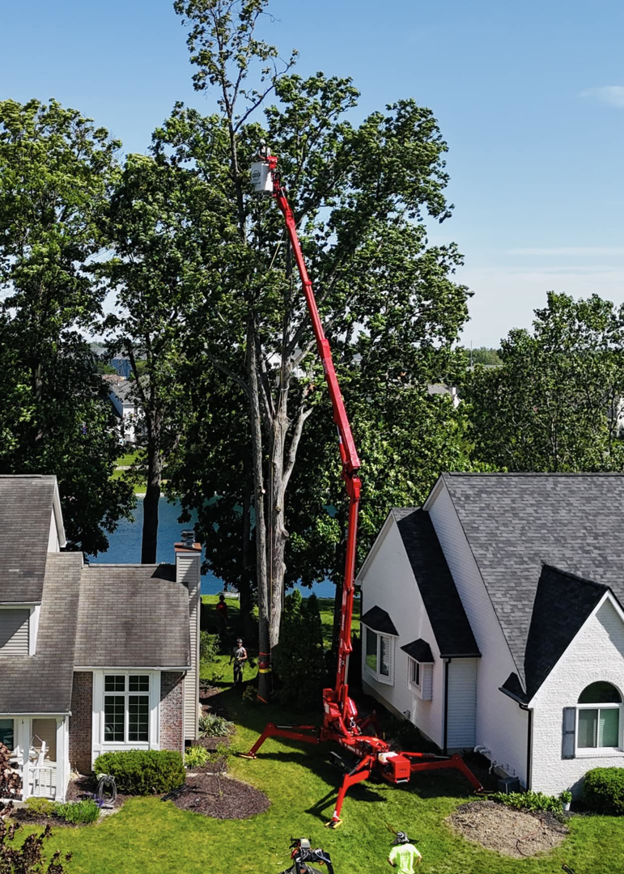 An aerial view of a tree service crew using a red boom lift to trim a tall tree near residential homes, performed by Snyder's Tree Service LLC in Fort Wayne, IN.