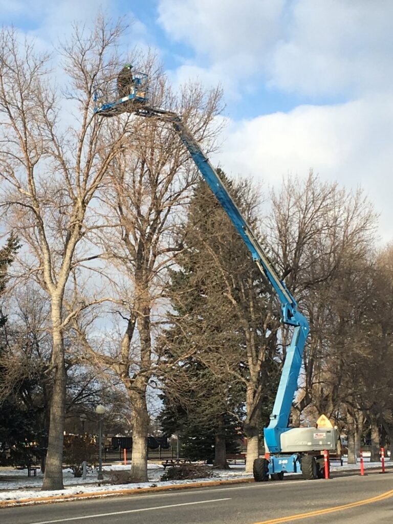 A tree service worker trimming branches from a tall tree using a boom lift for Treeincarnation MT in Helena, MT.