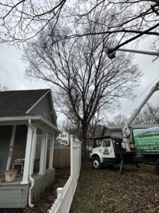 Tree trimming in progress with a bucket truck and chipper truck by Ace Tree Chopper in Nashville, TN.