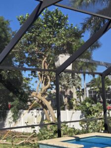 A bucket lift used for tree trimming, with branches on the ground near a pool by Tim's Tree Service in Cape Coral, FL