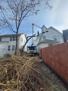 A tree service worker in a bucket truck trimming branches, with piles of cut wood on the ground, by ES Tree Services Llc in Columbus, OH