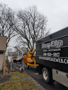 A Sharp Edge Tree & Landscape crew trimming a large tree with a bucket truck and wood chipper in Cleveland, OH.