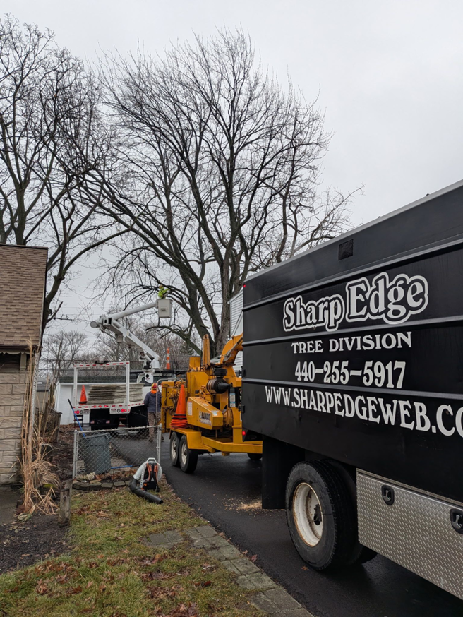 A Sharp Edge Tree & Landscape crew trimming a large tree with a bucket truck and wood chipper in Cleveland, OH.