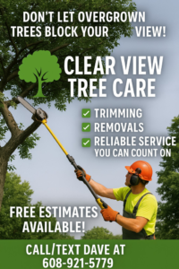 A tree service worker using a pole saw to trim branches for Clear View Tree Care in Janesville, WI.