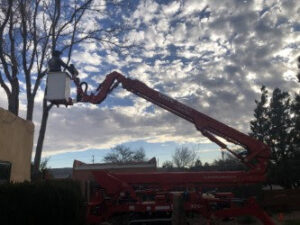 A Kiki's Tree Service arborist in a red boom lift performing tree trimming services in Albuquerque, NM.