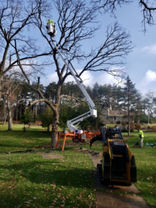 A worker in a spider lift trimming a bare tree with a skid steer on the ground by Dan's Tree Service, Inc. in New Berlin, WI.