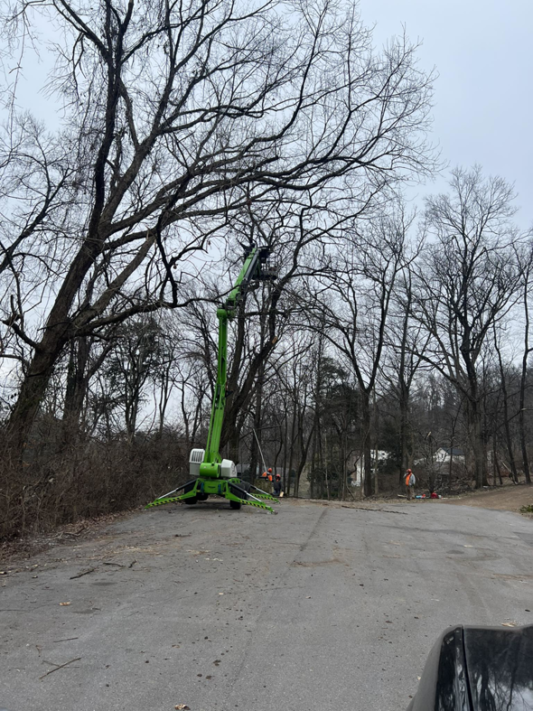 A green spider lift being used for tree trimming services by Mr Spruce Tree Service LLC in Ankeny, IA.