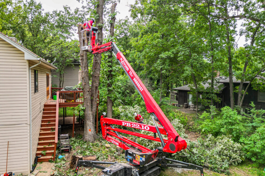 A tree service worker trimming a tree with a spider lift next to a residential house for Braik's Tree Care in Columbia, MO.
