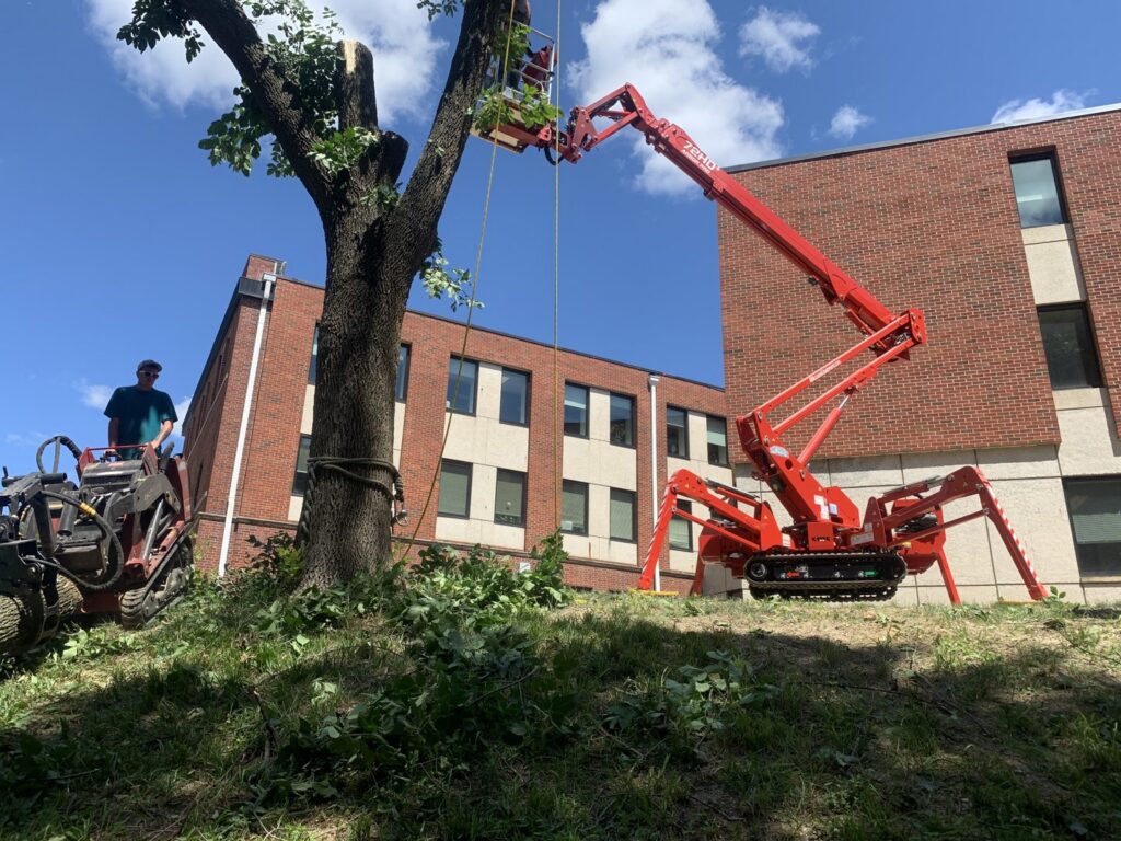 A red spider lift used for tree trimming with a wood chipper in the background by Top Notch Tree Care in Holt, MI.