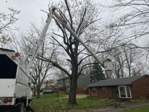 A tree service worker in a bucket lift actively trimming a large tree for Cornerstone Landscaping in Phoenix, AZ.