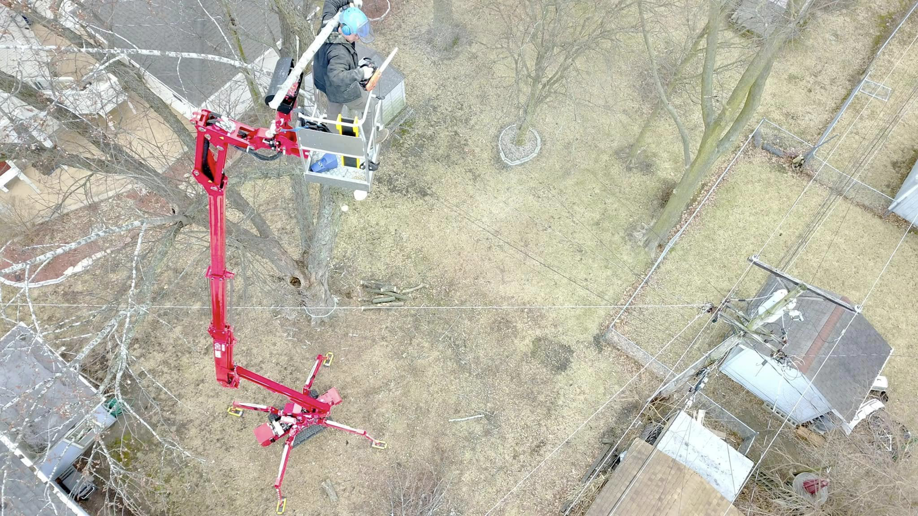 A tree service worker in a bucket lift trimming branches high in a tree for SKV Tree Service in Morris, IL.