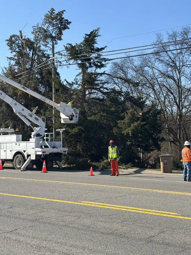 An Ox Tree worker in a bucket truck trimming a tree, with ground support, in Birmingham, AL.
