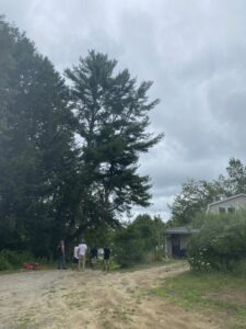 A tree service worker high in a tree, performing trimming and removal of branches for Two Daughters Trees & Driveways in Saco, ME.