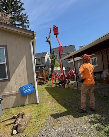 A TRG Tree Service worker overseeing a tree trimming job with a lift and cut logs in Beaverton, OR.