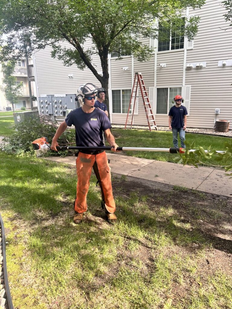 A Patriot Tree Service worker using a pole saw for tree trimming with colleagues in Sioux Falls, SD