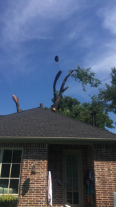 A large tree trunk section being carefully removed by a crane over a residential roof by Anderton Tree Service in Fort Worth, TX