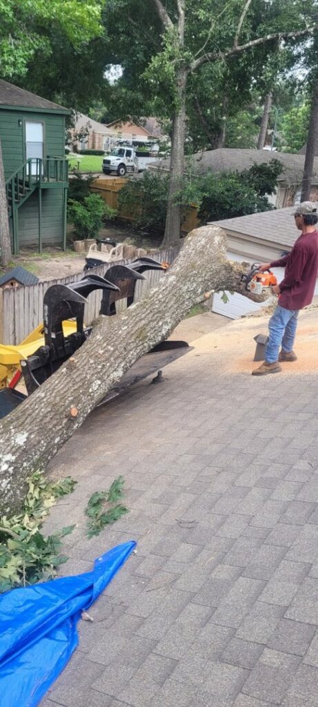 A tree service worker cutting a large tree trunk on a roof with a chainsaw, assisted by heavy equipment from Victor Tree Services in Houston, TX.