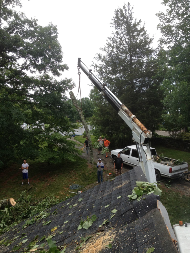 An aerial view from a roof shows a crane lifting a tree trunk section with ground crew from Mark's Tree & Stump Removal in Roanoke, VA.