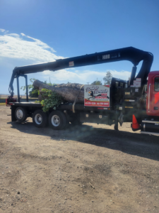 A large tree trunk and branches loaded onto a Broken Branch Tree Removal truck in Broadalbin, NY.