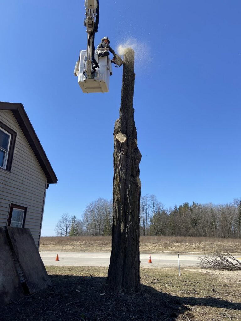 A tree service worker in a bucket using a chainsaw to remove a tree trunk for Cutting Edge Tree Service in Racine, WI.
