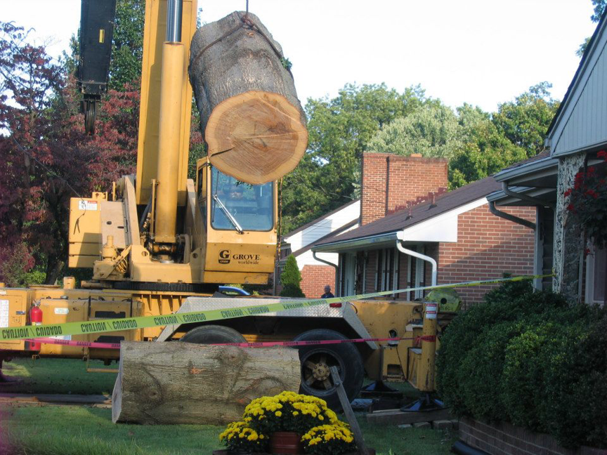 A large crane lifts a heavy tree trunk section during a tree removal service by Mark's Tree & Stump Removal in Roanoke, VA.