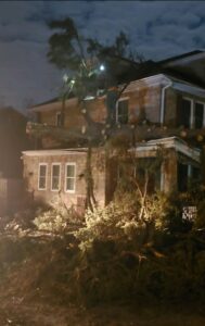 A large tree trunk with cut branches and debris on the ground from a tree removal job by Timber Taskforce Tree Service in York, PA.