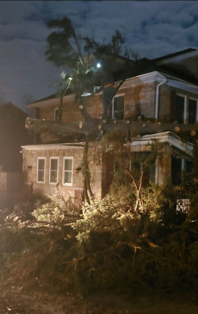 A large tree trunk with cut branches and debris on the ground from a tree removal job by Timber Taskforce Tree Service in York, PA.