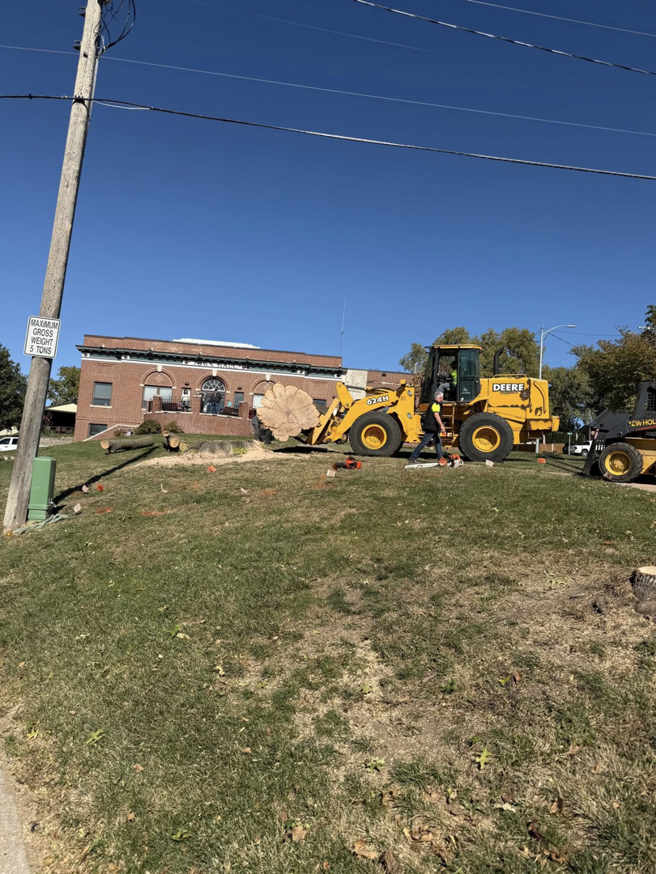 A large tree trunk being removed by a front-end loader during a tree service job by A & C Tree Service in Las Vegas, NV.