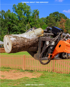 Heavy equipment lifting a large tree trunk for removal by Foothills Tree Experts in Fort Collins, CO.