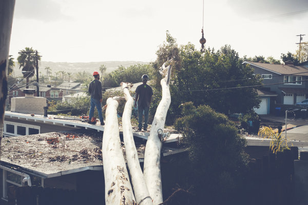 Tree service workers on a rooftop managing large tree trunks after removal, with a crane hook visible, by LC Tree Service in San Diego, CA.