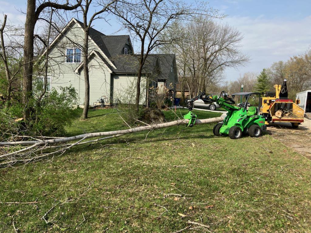 A mini-loader moving a large tree trunk towards a wood chipper for efficient removal by SKV Tree Service in Morris, IL.