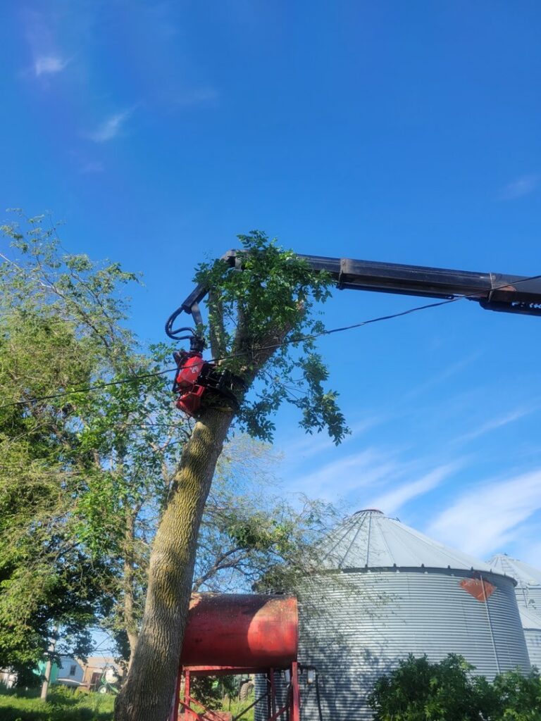 Broken Branch Tree Removal removing a section of a tree trunk with a crane in Broadalbin, NY.