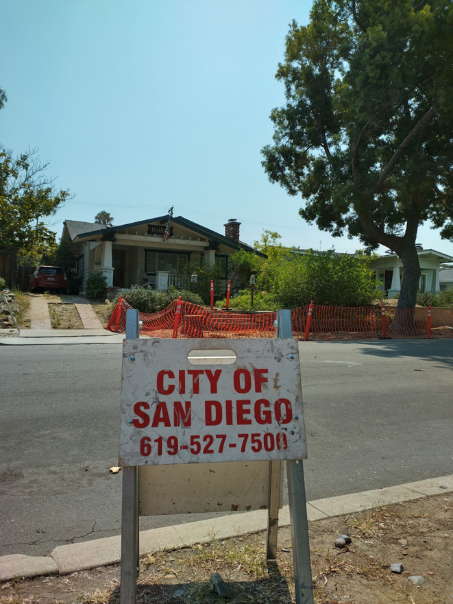 A large tree surrounded by orange safety fencing, indicating tree work by Historic Pepper Trees of Kensington in San Diego, CA.