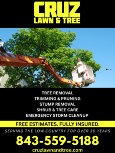 A tree service worker in a bucket lift pruning a large tree for Cruz Lawn and Tree in Charleston, SC.
