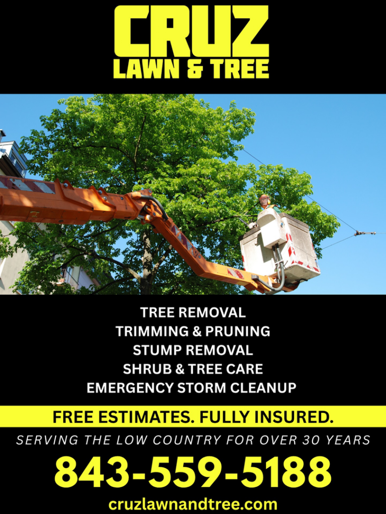 A tree service worker in a bucket lift pruning a large tree for Cruz Lawn and Tree in Charleston, SC.