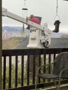 A tree service worker in a bucket lift trimming a tree, viewed from a window, by Golden Tree Service in Provo, UT.
