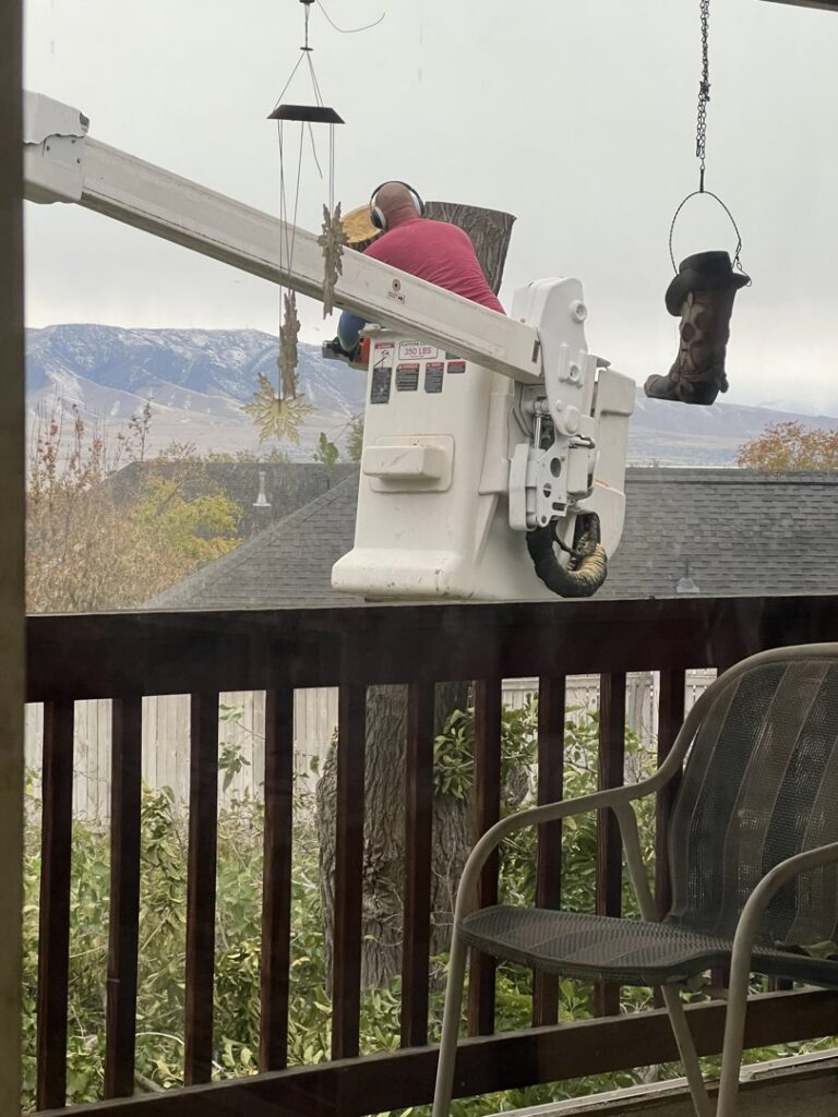 A tree service worker in a bucket lift trimming a tree, viewed from a window, by Golden Tree Service in Provo, UT.