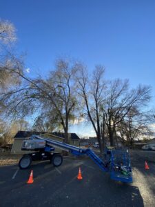 A tree service worker using a chainsaw to cut a tree trunk from an elevated perspective for Double J Tree Service, LLC in Meridian, ID.