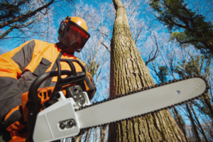A tree worker in safety gear holding a chainsaw, ready for tree removal at Glorioso Tree Service in Kansas City, MO.