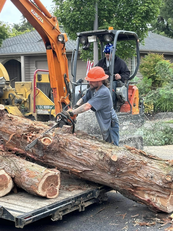 A tree worker using a chainsaw to cut a large log on a trailer, with heavy equipment, for Caudle's Tree Service in Salem, OR